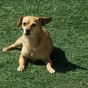 Meet your Posher, Breanna